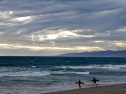 Surfers, Venice Beach by Stacey Moore